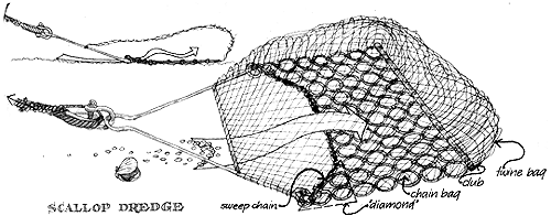 
Scallop dredge
